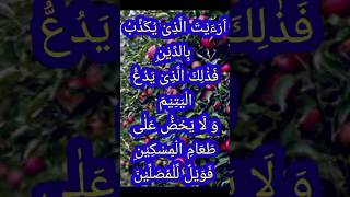 Surat Al Maun💞اَلْمَاعُوْنquran tilawatyoutube shortsviral [upl. by Kendall]