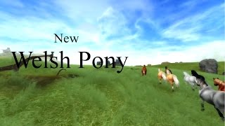 New Welsh Pony  Star Stable Online [upl. by Deehsar]