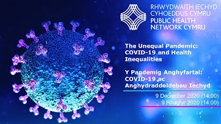 The Unequal Pandemic COVID19 and Health Inequalities  PHNC Webinar December 2020 [upl. by Nonie]