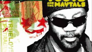 Toots amp the Maytals  Funky Kingston [upl. by Toomin]