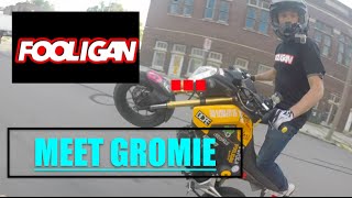 Gromie Bear Meets FOOLIGAN [upl. by Kannan872]