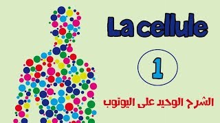 la celluleالخلية le premier épisode de lanatomie [upl. by Drud]