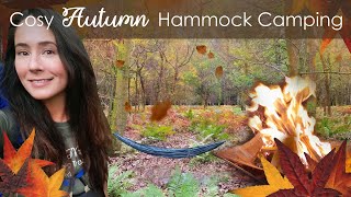 Solo Autumn Hammock Camp With Campfire amp Lamb Steaks 🔥🍂🥩 No Tarp Wild Camping UK [upl. by Tennes764]