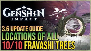 All Fravashi Tree Locations Genshin Impact [upl. by Drallim757]