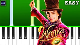 Wonka  Pure Imagination  Piano Tutorial EASY [upl. by Eener]