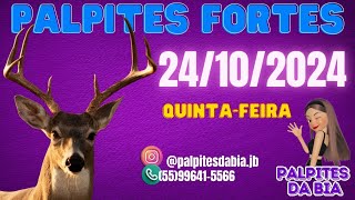 PALPITES DA BIA PARA HOJE 24102024 QUINTAFEIRA [upl. by Nonnad865]