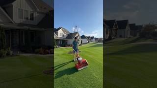 Diamonds are a lawn dads best friend 💎⛳️ satisfying lawn diy reelmower [upl. by Lukash]