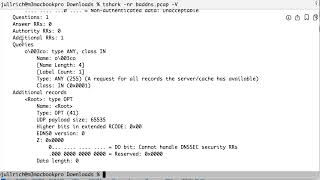 Corrupt DNS Amplification Traffic [upl. by Terhune335]