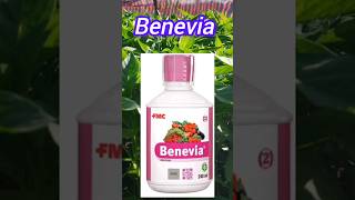 💪benevia💪 insecticide full detailsसबसे पॉवरफूल कितकनाशक कीटो के लिए ब्रह्मास्त्र YouTube shorts [upl. by Aihsetel]