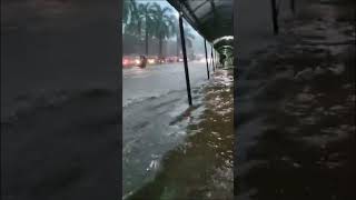 Kakkanad infopark under water during rain KERALA MONSOON [upl. by Leuqcar122]