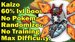 KAIZO IRONMON is the hardest Pokemon challenge [upl. by Starla]