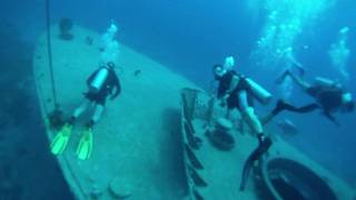 Scuba Diving in Eilat  צלילה באילת  הסטיquotל [upl. by Eirrej]