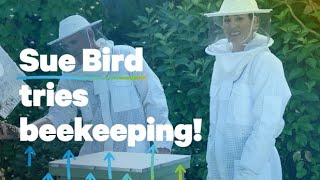 Symetra helps Sue Bird spread her wings in retirement by learning beekeeping from pro bee rescuers [upl. by Eigriv591]