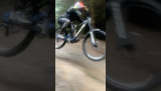 Dyfi bike park new section mtb dyfi downhill [upl. by Pergrim]