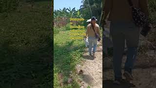 Site viewing in Carmen Cebu shortvideo buhayahente realpropertyphilippines [upl. by Wiedmann]