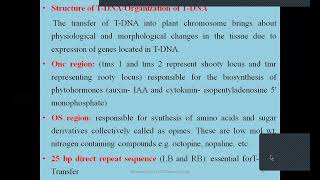 Agrobacterium mediated gene transfer [upl. by Annaitat]