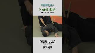 Bokuden Ryu Jujutsu【Hogure Hidari】Daisho no Tori 卜伝流柔術【保愚礼 左】大小之捕 shorts [upl. by Meryl56]