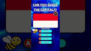 Guess the Countrys Capital  Short 133  Can You Identify The Capital City  Flags Cities Quiz 🌍 [upl. by Airrotal165]