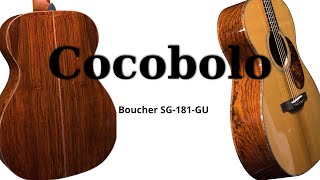 Boucher SG181GU  Cocobolo Acoustic Guitar [upl. by Seligman576]