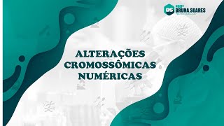 Alterações Cromossômicas Numéricas [upl. by Ainahs]