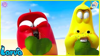 LARVA SEASON 2 EPISODE 203  304 🍟 NEST VERSION LARVA  COMICS  MINI SERIES FROM ANIMATION LARVA [upl. by Luhar]