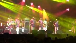 Orchestre PolyRythmo de Cotonou live  OFF Festival 2014 HD [upl. by Ninaj]