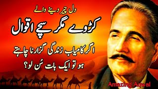 Allama Iqbal Amazing Aqwal In Urdu  Allama Iqbal Ke Aqwal E Zareen  Quotes  Shahzain Voice79 [upl. by Eloise653]