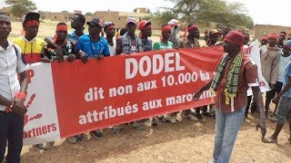 Sénégal  un milliardaire marocain aux prises avec des paysans [upl. by Bigot]