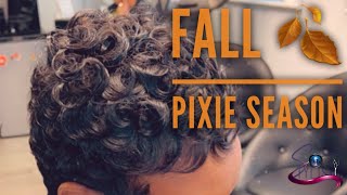 Pixie Cut Fall Review [upl. by Patricia]