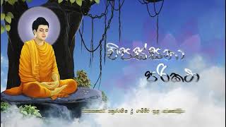 Vipassana Parikatha  විපස්සනා පරිකථා [upl. by Giacamo]