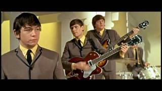 The Animals  House of the Rising Sun 1964 ♫ 60 YEARS 🎶⭐ ❤ [upl. by Hareenum]