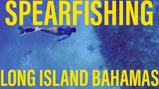 Freediving amp Spearfishing in Long Island Bahamas  SAVAGE SESSIONS [upl. by Ateekahs]