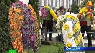 Ringo Starr at RHS Chelsea Flower Show 2011 [upl. by Nymassej]