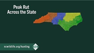 Peak of the Rut Across North Carolina [upl. by Ramsay416]