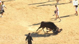 Vaquillas Feria de Albacete 2024 9 de septiembre [upl. by Ahsasal]