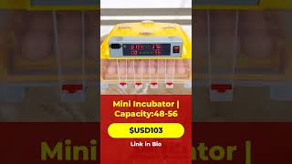 Best Mini Incubator for Successful Egg Hatching [upl. by Ynnek]