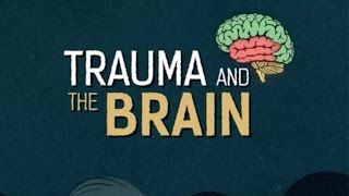 Trauma and the Brain [upl. by Odrawde423]