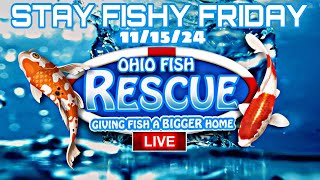 Stay Fishy Friday livestream 111524 [upl. by Alleoj]