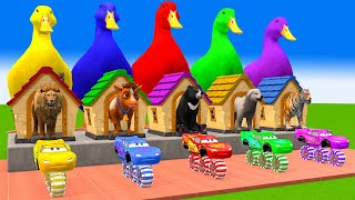 5 Giant Duck CartoonCowTigerDogGorillaZebraBearLion Transfiguration funny animal 2023 [upl. by Garrot]