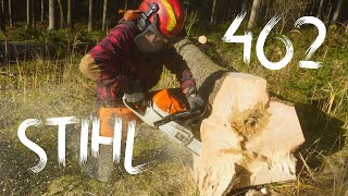 Forest job  Stihl 462  Těžba dřeva ve smrkovém podrostu 393 [upl. by Aneles]