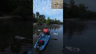 Smallmouth Bass on Crooked Creek  Kayak Fishing  Bonafide RVR 119  Nature [upl. by Bradan]