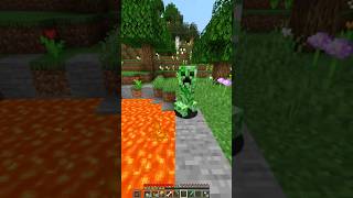 Minecraft dog meme [upl. by Anita]