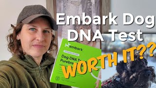 Embark Dog DNA test Worth It [upl. by Novyaj]