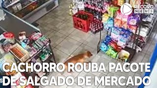 Cachorro rouba pacote de salgadinho de mercado [upl. by Netsrejk]