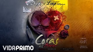 Ñejo  Cosas del Amor ft Luig 21 Lyric Video [upl. by Elsilrac]