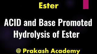 ACID and Base Promoted Hydrolysis Of Ester I Lecture I Ester I Mechanism [upl. by Teevens819]