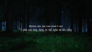 Vietsub  Lyrics Lily  Alan Walker K391 Emelie Hollow [upl. by Matrona]