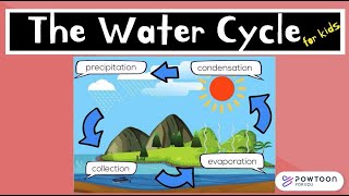 The Water Cycle for Kids [upl. by Anyad]