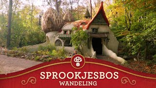 Efteling Walkthrough  Sprookjesbos [upl. by Anelam]