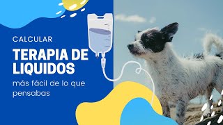 ❤️ IVERMECTINA para la SARNA en PERROS ❤️ Ivomec 1 usos dosis indicaciones efectos secundarios [upl. by Tiossem]